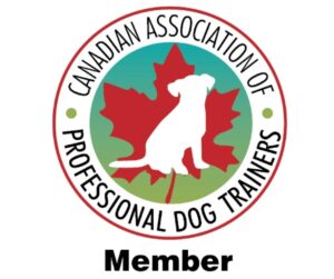 MemberLogoJPG6361b56180158