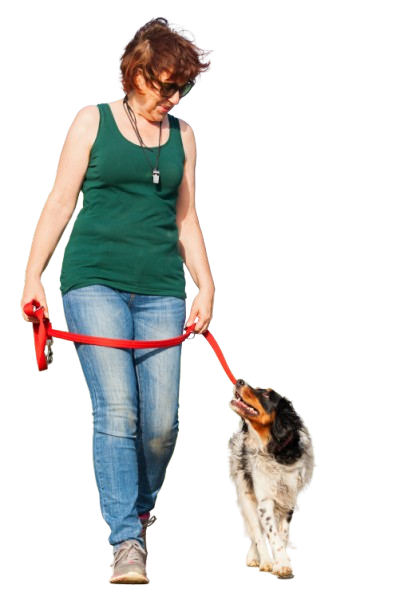 small dog training St Thomas Ontario