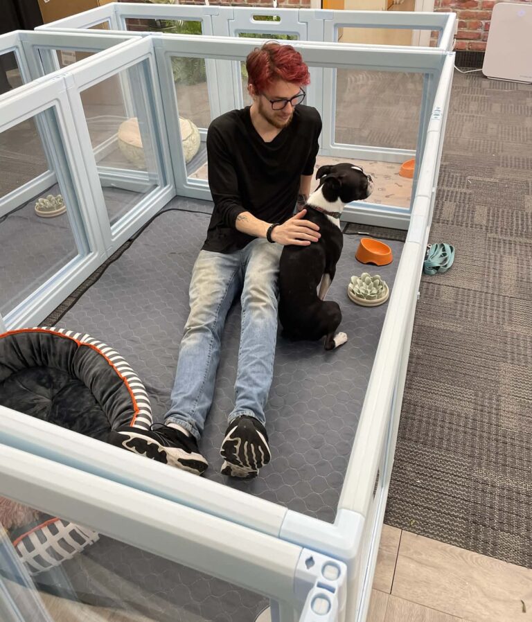 Stay N Play attendant providing individual attention to a dog